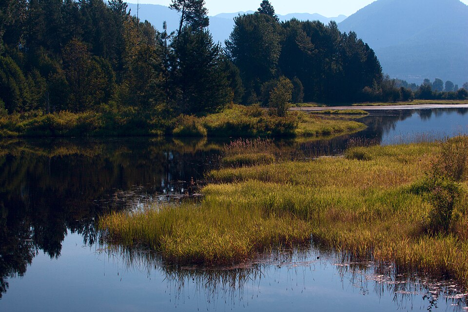 Clark Fork meadow and water in Stanislaus National Forest