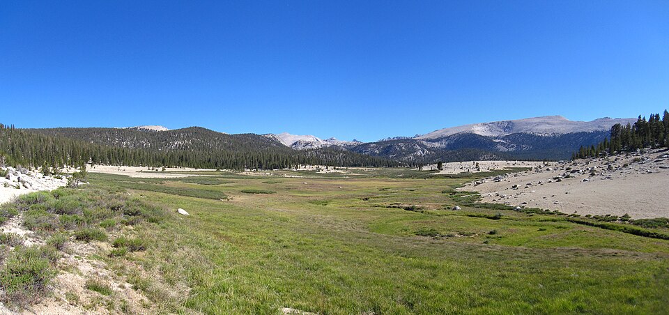 Big Whitney Meadow in Golden Trout Wilderness